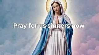 Hail Mary by Brigid McNally | Willow Publishing