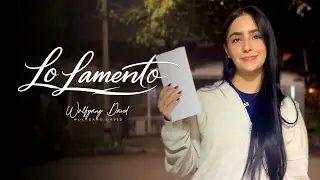 Wolfgang David - Lo Lamento (Videoclip Oficial)
