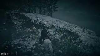 Red Dead Redemption 2_20260106123420