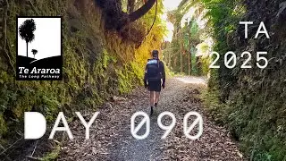 Day 090 - Timber Trail Day 1 \ The Ongarue Spiral \ Mangatukutuku Bridge - Te Araroa NOBO 2025