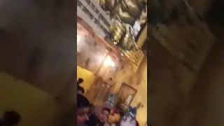 bahut pyara panda Hai Jay mataji