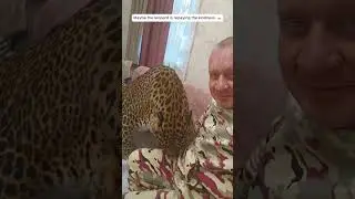 Maybe the leopard is repaying the kindness. 🐆