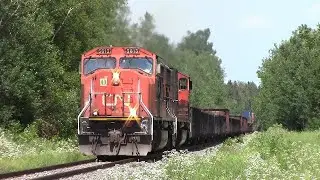 EMD SD70I 5613 Leads CN Train 406 West near Salisbury, NB on a warm Sunny Day
