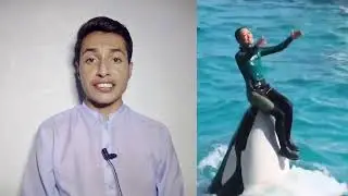 Jessica And Dolphin Real And Viral Story😱💯