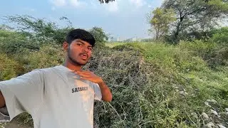 Challenge To Sleeping On This Tree😨