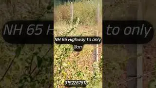 @land for sale