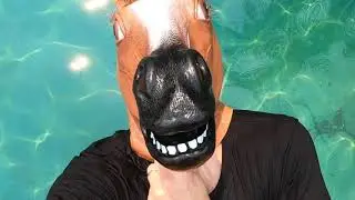 LIVE ACTION - BoJack Horseman Intro