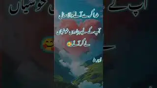 Happy New Year 2025 Urdu poetry WhatsApp status love story shero shayari