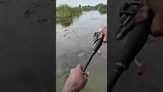 fishing hunting videos #safanafishing #fishing #fishingbait