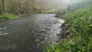 Rustgevend geluid van stromend water en regen (Eifel, Duitsland) (2)