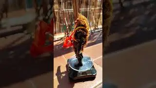 Grizzlor custom origins.