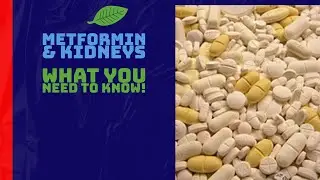 Does Metformin Cause Kidney Damage?