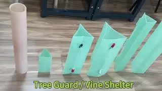 How to install and customize the plastic tree protector? #diy #plastic #pp #green #home