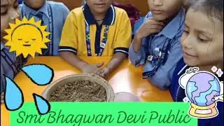 Plants activity #smtbhagwaandevipublicschool #activity #students #school #plants #motivation 