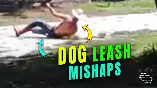 Attached Dog Drags Owner Running Away