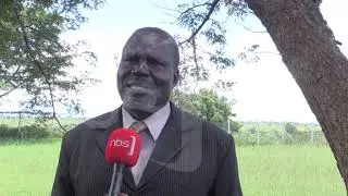 Swamps in Bukedea turned into Sugarcane Plantations