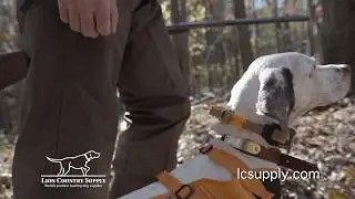 Lion Country Supply