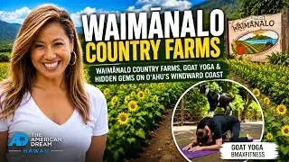 Waimānalo Country Farms & Mini Goat Yoga | The American Dream TV Hawai&lsquo;i