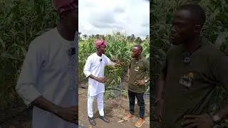 MY FARM TOUR TO AGRICWAS FARM, NIGERIA, AN ADVENTUROUS MOMENT THAT'S WORTHWHILE