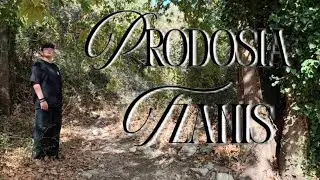 PRODOSIA official video clip         TZANIS 