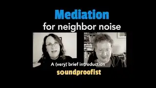 Can a mediator help with noisy neighbors?