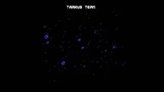 Tarkus Team (4).mp4