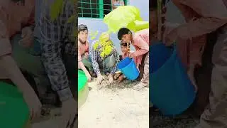 Save tree🌳🌴🌲 #primaryschoolteacher #kidsvideo #schoolproject @Kanika_Shorts @deepikaverma3351