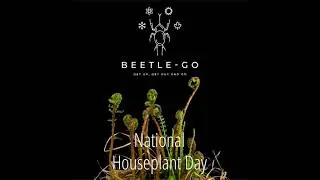 National Houseplant Appreciation Day
