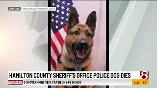 Hamilton County Sheriff's Office police dog dies