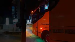 BUS MARIO MERLIN JAYa