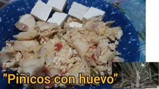 COMO HACER PI&Ntilde;ICOS CON HUEVO...