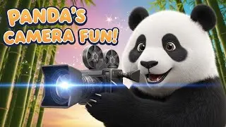 Panda making a Film!