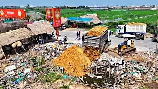 Start A New Great Project!!!! Dump Truck Fill Land in Flood Land With Bulldozer D20A Unloading
