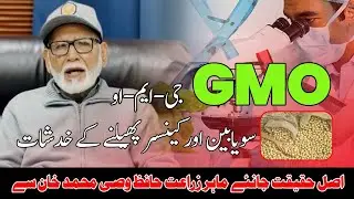 The Pros and Cons of GMO Crops: A Comprehensive Guide in URDU/HINDI