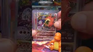 Pokemon Opening Charizard Collection Opened On Channel! #cards #rare #pokemon #hobby
