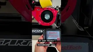 EFI KART 4T PROJECT - FUELTECH FT450