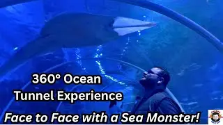 Exploring SEA LIFE Birmingham | Stunning Aquarium Tour & Ocean Tunnel Experience!
