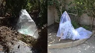 Garden Fresh Bag
