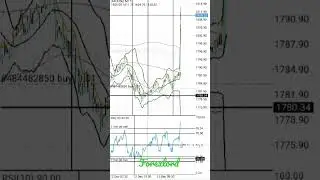 Look at gold #forex #anime #lion #challenge #pranks #viral #edit #foryourpage #trade #trending #me