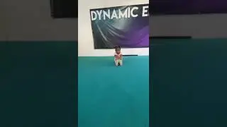New Skill Alert: Kynor's Pike Position