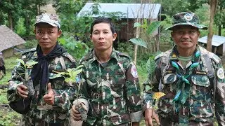 Painting the Salween River Basin with Trees