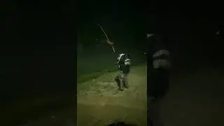 Thunderstorm cat fish