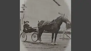 Mun vaari