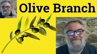 😎 Olive Branch Meaning - Olive Branch Definition - Olive Branch Examples - Olive Branch Defined