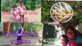 ମୋ ଝିଅ ଅଙ୍ଗନୱାଡି ରୁ ଆସିଗଲା#ଆଜି ଆମ ବାଡିରୁ ମୂଳା ତୋଳିବା #debendra jhunia vlogs