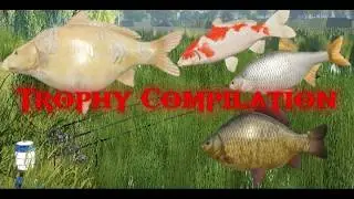 Подборка трофеев Русская Рыбалка 4|Трофеи за Январь | Trophy Compilation Russian Fishing 4 #rf4