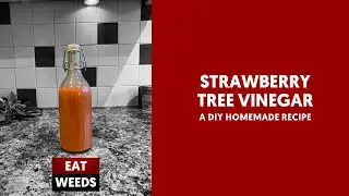 Strawberry Tree Vinegar Recipe by Robin Harford from Eatweeds