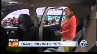 Traveling with Pets Safely   Expert Tips GMC Acadia