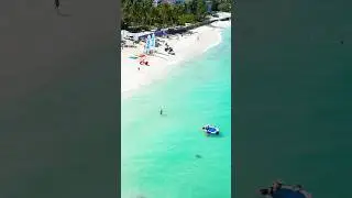 Cable Beach #shorts #bahamas #swimmingpigs #pigs #travel #love #beach #beachwalk #walkingtour