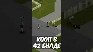 КАК ПОИГРАТЬ С ДРУГОМ В 42 БИЛД PROJECT ZOMBOID